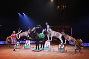  Shirin & Alexis zeigen Tiere aus Bauernhof (©Foto: Martin Schmitz)